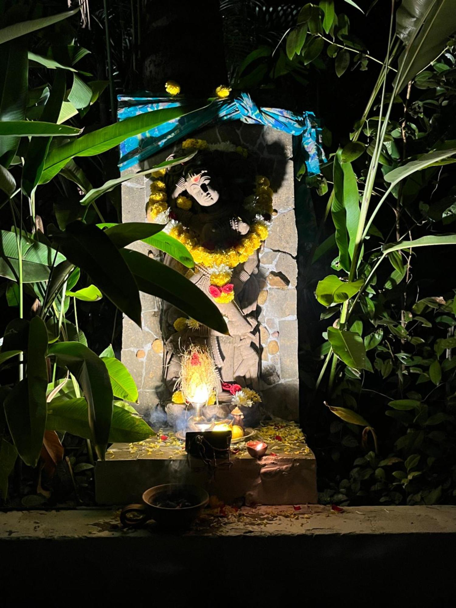 מנדרם Satori Wellness Cottages I Yoga, Sauna, Ice Bath, Holistic Therapies & More מראה חיצוני תמונה