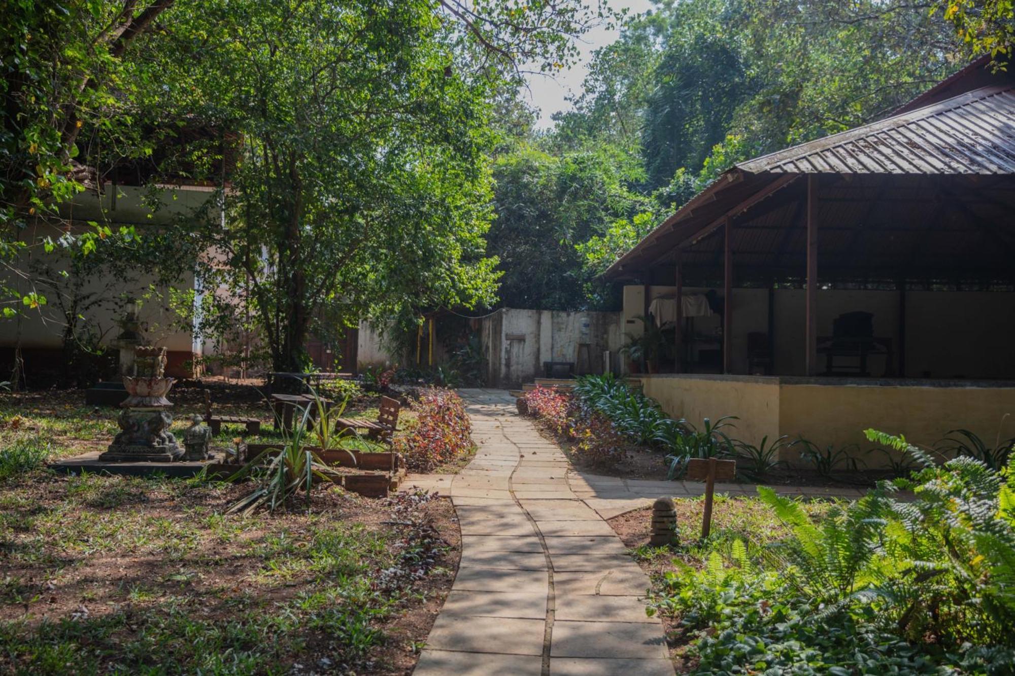מנדרם Satori Wellness Cottages I Yoga, Sauna, Ice Bath, Holistic Therapies & More מראה חיצוני תמונה