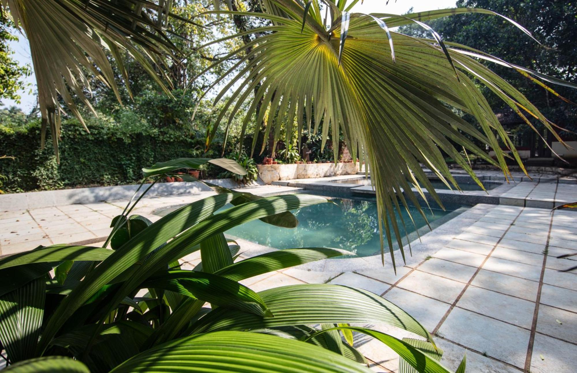 מנדרם Satori Wellness Cottages I Yoga, Sauna, Ice Bath, Holistic Therapies & More מראה חיצוני תמונה